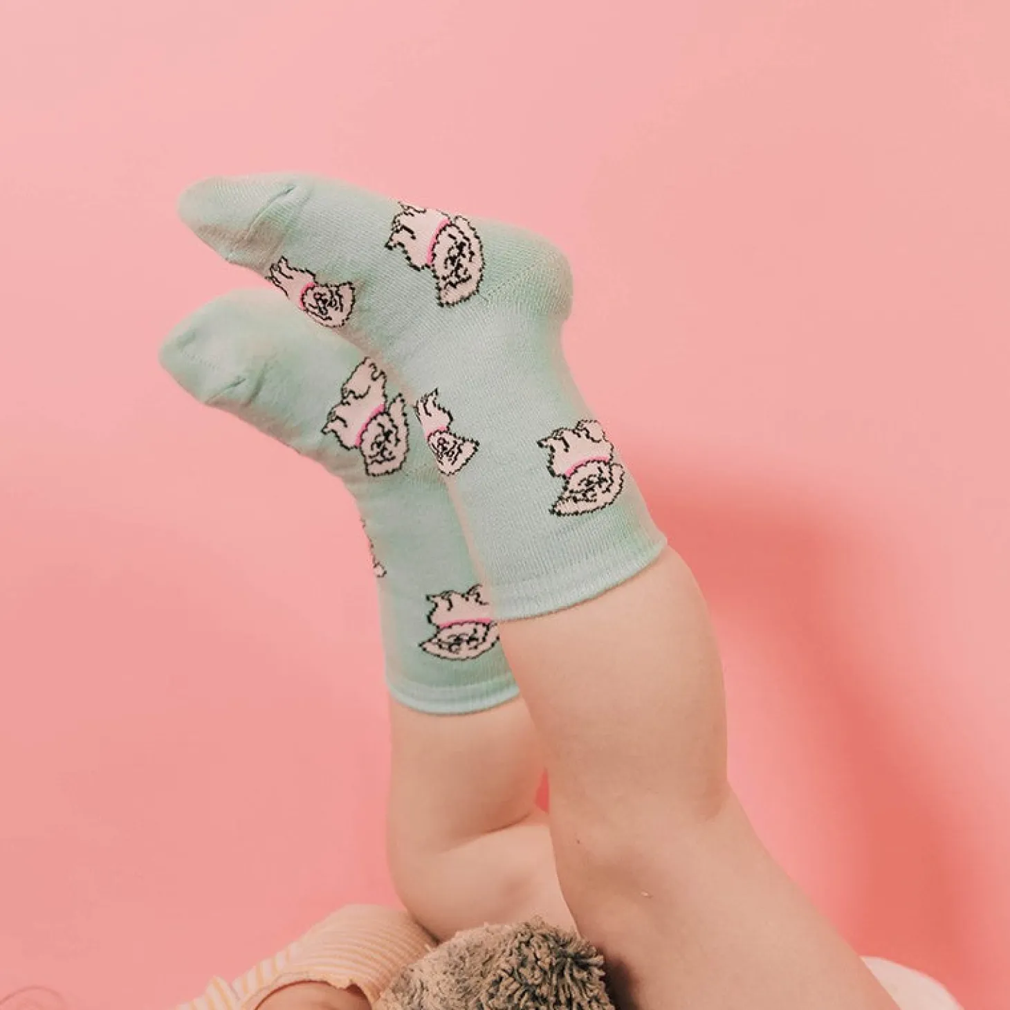 Coucou Suzette Bichon Socks - Baby* Kids Socks