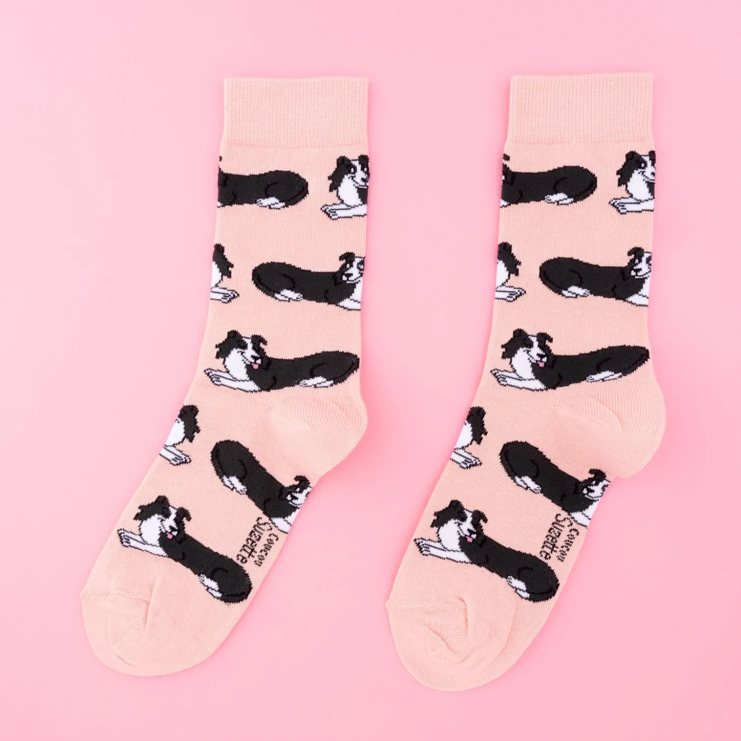 Coucou Suzette Border Collie Socks* Cotton Socks
