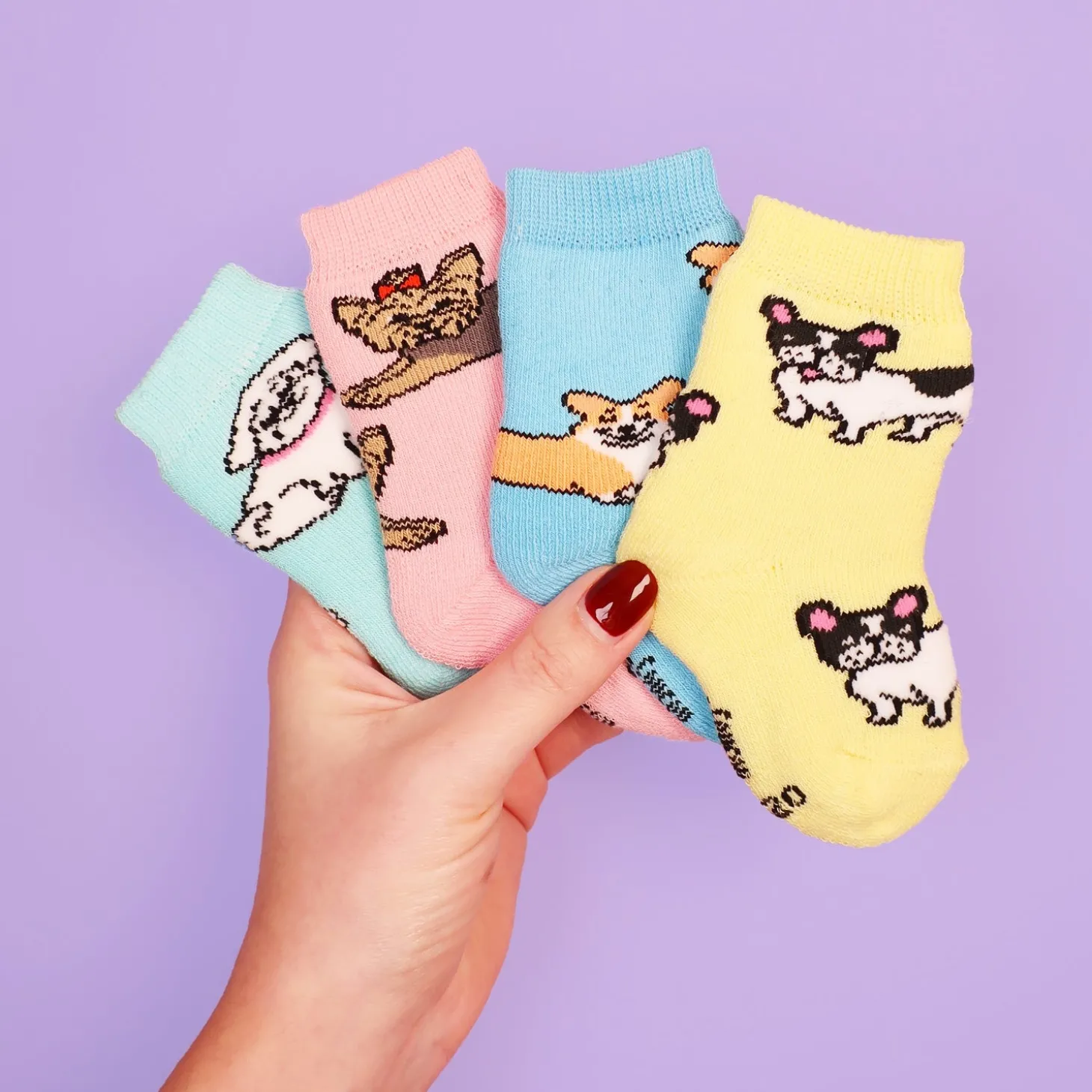 Coucou Suzette Bulldog Socks - Baby* Kids Socks