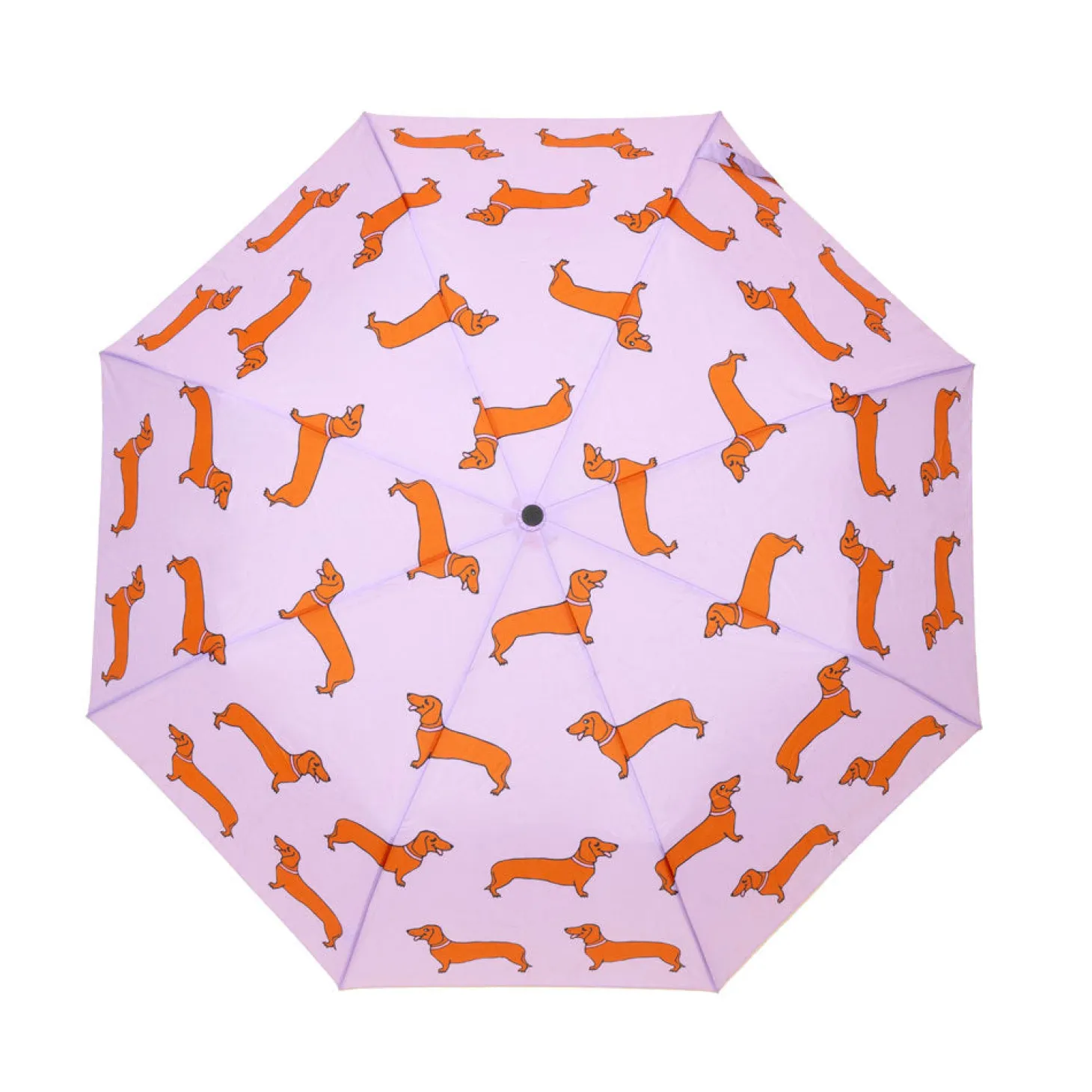 Coucou Suzette Dachshund Umbrella* Umbrellas