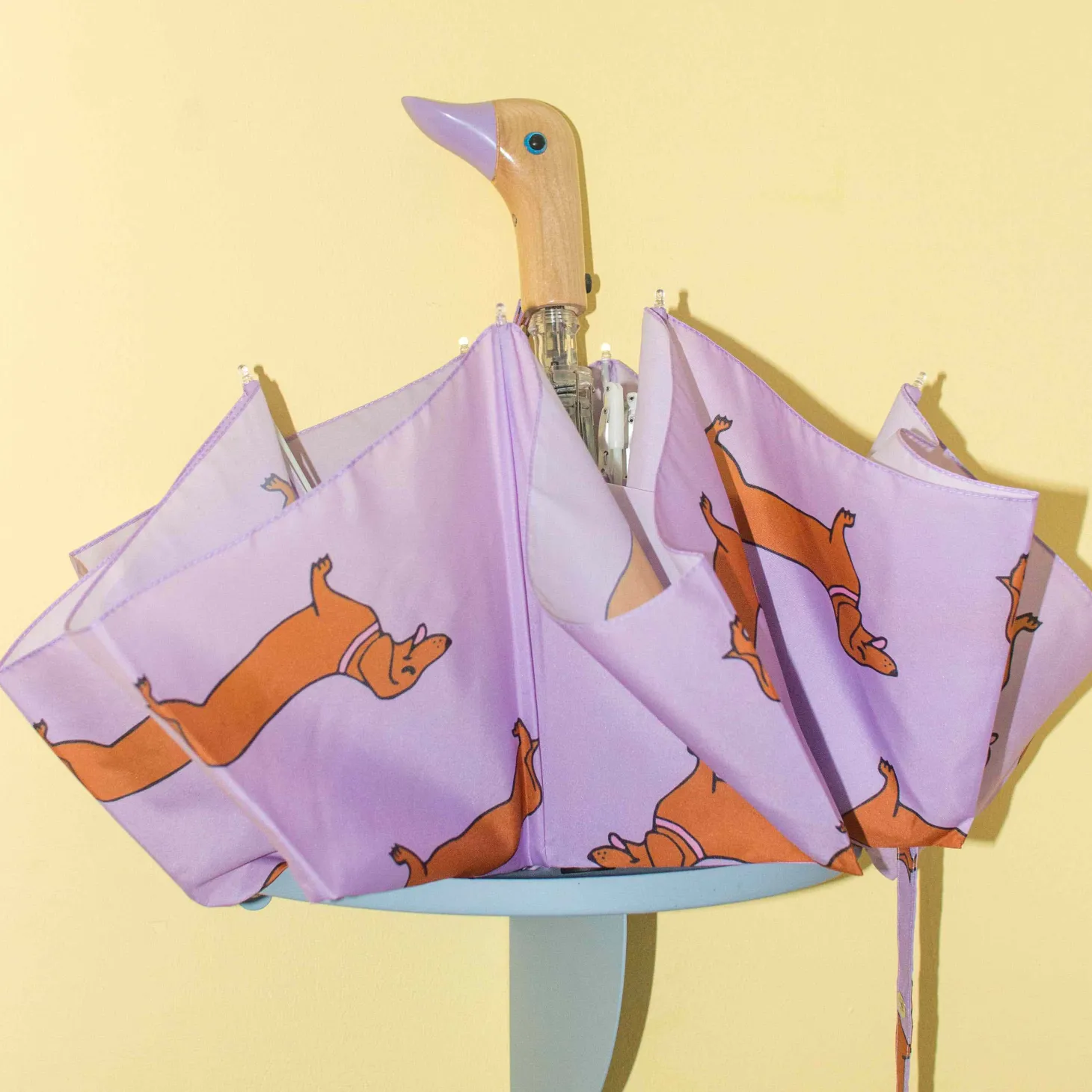Coucou Suzette Dachshund Umbrella* Umbrellas