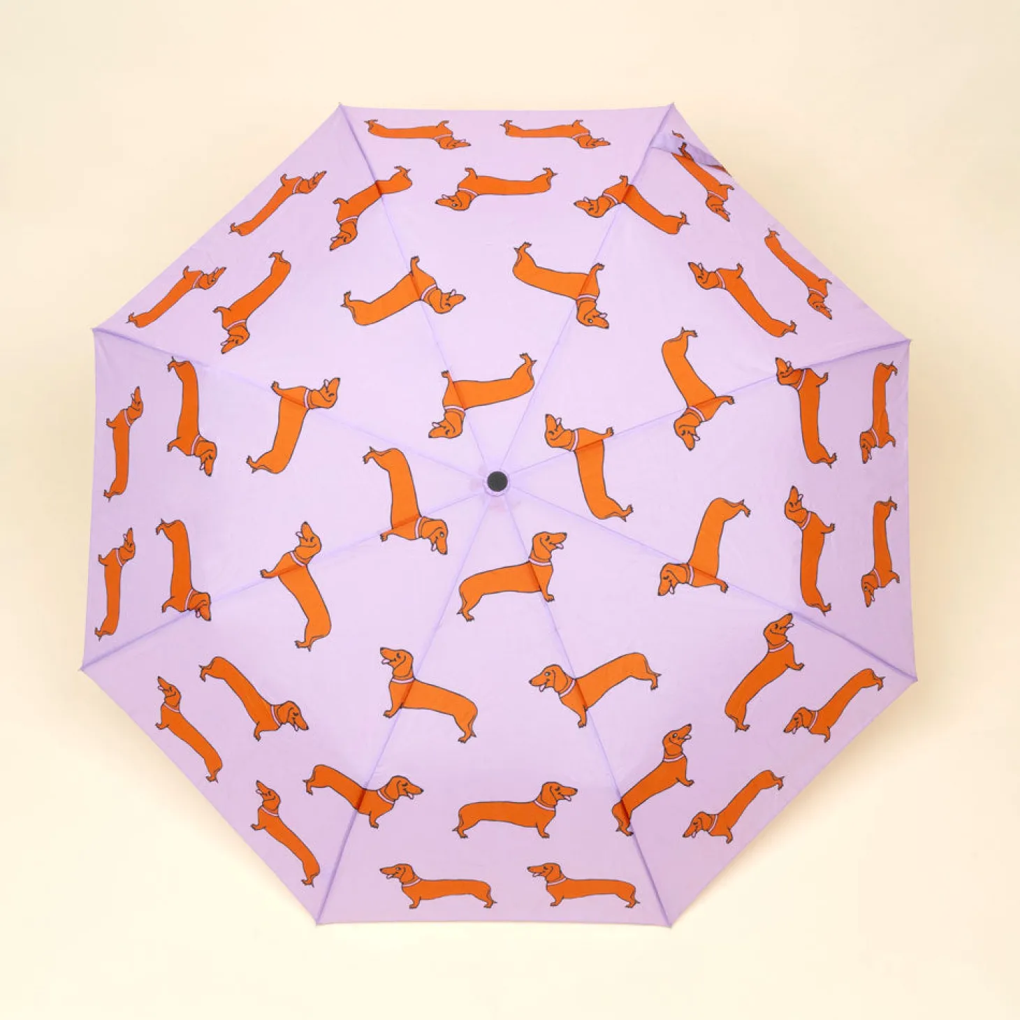 Coucou Suzette Dachshund Umbrella* Umbrellas