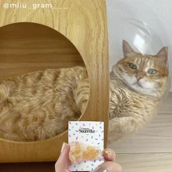 Coucou Suzette Ginger Cat Hair Clip* Hair Clips