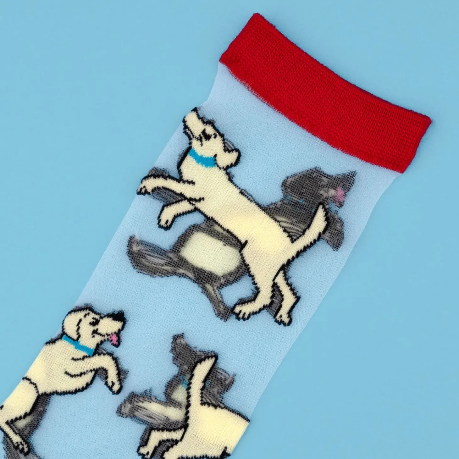 Coucou Suzette Golden Retriever Sheer Socks* Sheer Socks