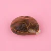 Coucou Suzette Sleeping Cat Hair Clip* Hair Clips