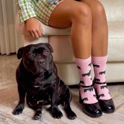 Coucou Suzette Staffy Socks* Cotton Socks