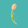 Coucou Suzette Tulip Pin* Pins